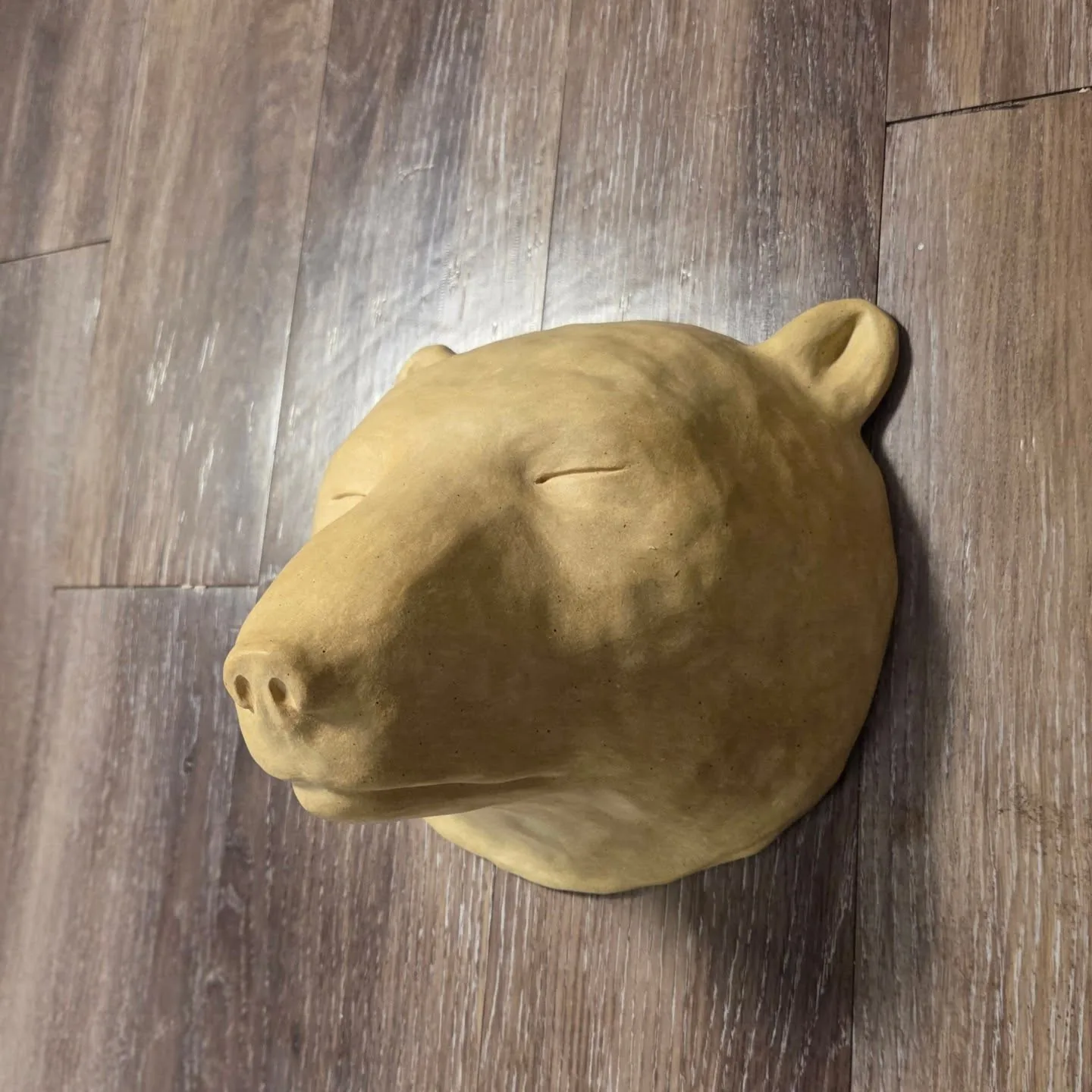 Bear Mask