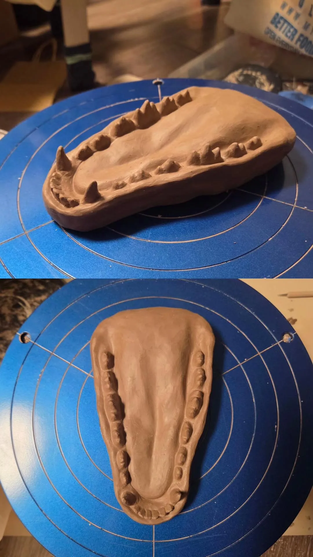 Jaw